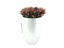 EUROPALMS LEICHTSIN CUP-69, shiny-silver