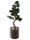 EUROPALMS LEICHTSIN TOWER-50, shiny-red