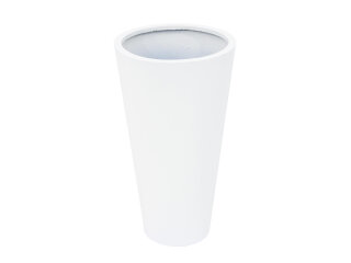EUROPALMS LEICHTSIN ELEGANCE-69, shiny-white