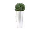 EUROPALMS LEICHTSIN ELEGANCE-69, shiny-white
