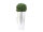 EUROPALMS LEICHTSIN ELEGANCE-69, shiny-white