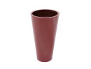 EUROPALMS LEICHTSIN ELEGANCE-69, shiny-red
