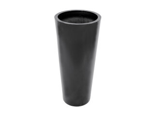 EUROPALMS LEICHTSIN ELEGANCE-110, shiny-black