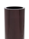 EUROPALMS LEICHTSIN TOWER-120, shiny-brown