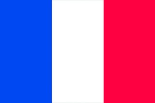 EUROPALMS Flag, France, 600x360cm