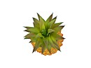 EUROPALMS Pineapple, deco object, 26cm