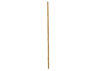 EUROPALMS Bambusrohr, Ø=3cm, 200cm
