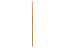 EUROPALMS Bambusrohr, Ø=3cm, 200cm