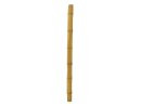 EUROPALMS Bambusrohr, Ø=14cm, 200cm