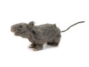 EUROPALMS Rat, lifelike with coat 30cm