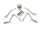 EUROPALMS Halloween Skeleton, multipart