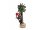EUROPALMS Weihnachtsbär, mit Tanne, 105cm