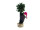 EUROPALMS Weihnachtsbär, mit Tanne, 105cm