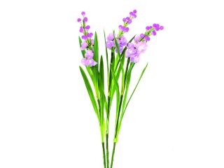 EUROPALMS Aronstab 3er Set mit LEDs, pink, 85cm