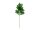 EUROPALMS Tannenzweig, PE, 65cm