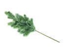 EUROPALMS Tannenzweig, beschneit, PE, 65cm