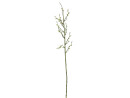 EUROPALMS Beerenzweig glitzer gold 85cm 3x