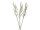 EUROPALMS Beerenzweig glitzer gold 85cm 3x