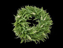 EUROPALMS Lavendelkranz, 30cm