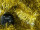 EUROPALMS Tannenbaum FUTURA, gold-metallic, 180cm