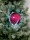 EUROPALMS LED Snowball 15cm, rosa