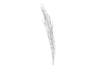 EUROPALMS Galho Buriti weiß 150cm