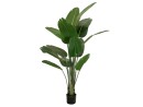 EUROPALMS Strelitzie, Kunstpflanze, 170cm