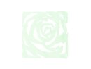 EUROPALMS Room Divider Rose clear 4x