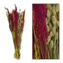 Trockenblumen-Bouquet Multi Groesse: 65cm,...