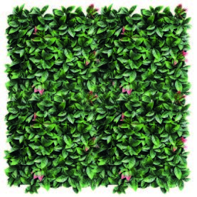 Hecke Photinia, UV-beständig, 100x100 cm