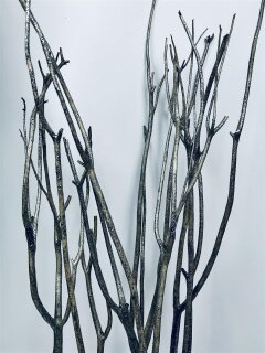 Mitsumata-Zweige, Pailletten, grau silber glnzend, 145-155cm, 3er Set