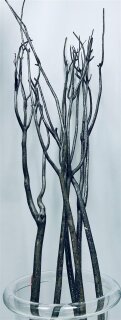 Mitsumata-Zweige, Pailletten, grau silber glänzend, 145-155cm
