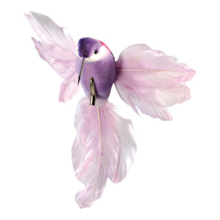 Kolibri mit Clip Styrofoam/Federn     Groesse: 18x20cm - Farbe: violett
