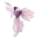 Hummingbird with clip styrofoam, feathers 18x20cm Color:...