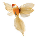 Kolibri mit Clip Styrofoam/Federn     Groesse: 18x20cm    Farbe: orange