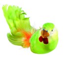 Budgerigar with clip styrofoam, feathers     Size: 5x26cm    Color: green