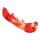 Budgerigar with clip styrofoam, feathers 5x26cm Color: red