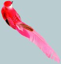 Bird with clip styrofoam     Size: 4x24cm    Color: red