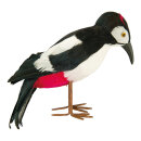 Woodpecker out of styrofoam, with real feathers     Size:...
