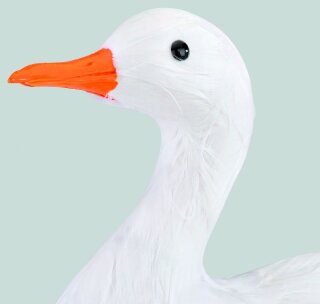 Gans, stehend Styrofoam mit Federn     Groesse: 27x34cm - Farbe: wei