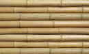 Bambusrohr, Ø 40-50mm, Länge 3m,  grün