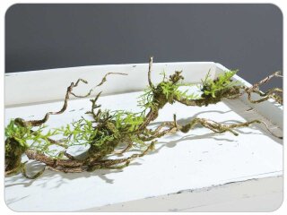 Moosliane Girlande Liane Moos Tischdeko Kunstpflanze, 100 cm