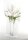 Endless Flower Tulpe Weiss 30x70cm