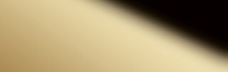 Wanddekorplatte DM Gold 30 qm: 2,6  Abmessung [mm]: 2600x1000x1 Wandpaneel-Blickfang  in mehreren Ausfhrungen