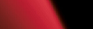 Wanddekorplatte DM Fashion Red qm: 2,6  Abmessung [mm]: 2600x1000x1 Wandpaneel-Blickfang  in mehreren Ausfhrungen