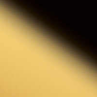 Wanddekorplatte DM Gold AR qm: 2,6  Abmessung [mm]: 2600x1000x1 Wandpaneel-Blickfang  in mehreren Ausführungen