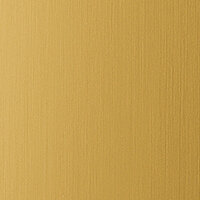 Wanddekorplatte DM Gold brushed matt AR qm: 2,6  Abmessung [mm]: 2600x1000x1 Wandpaneel-Blickfang  in mehreren Ausführungen