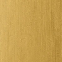 Wanddekorplatte DM Gold brushed matt AR qm: 2,6  Abmessung [mm]: 2600x1000x1 Wandpaneel-Blickfang  in mehreren Ausführungen