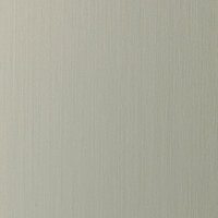 Wanddekorplatte DM Champagne brushed qm: 2,6  Abmessung [mm]: 2600x1000x1 Wandpaneel-Blickfang  in mehreren Ausführungen