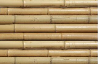 Bambusrohr, Ø 100-120mm, Länge 6m, gelb